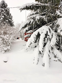 piha talo lunta talvi punavalkoinen koti pakkasta aurinko lumisade lumipeite talvinen