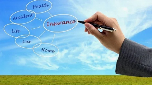 Insurance 101 The Basics You Need to Know