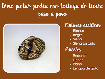 COMO PINTAR PIEDRAS CON TORTUGA DE TIERRA PASO A PASO