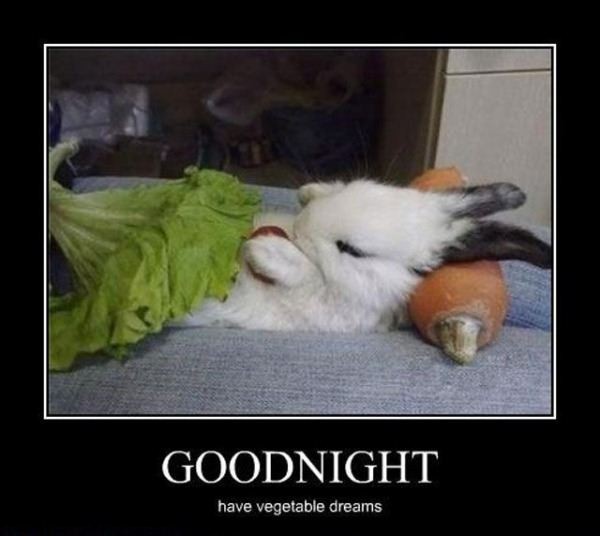 Good Night Have A Vegetable Dreams Funny Image, Meme