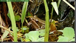 20150716_144020_183_HoMeiSan