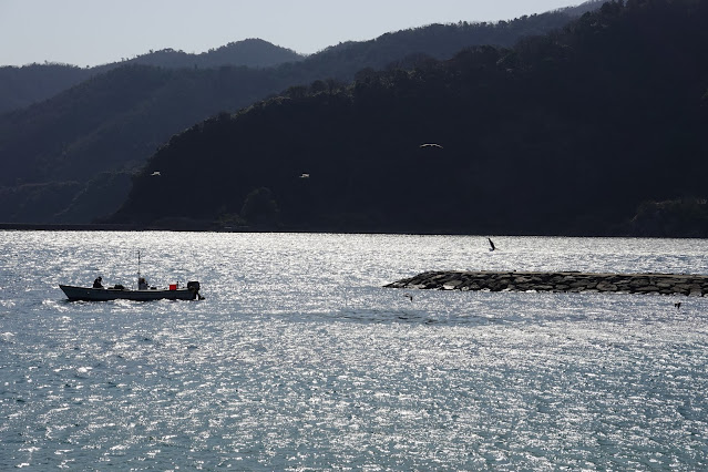 島根県松江市美保関町七類 親水公園からの眺望