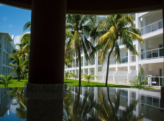Table View of trees and hotel walls in RIU Montego bay