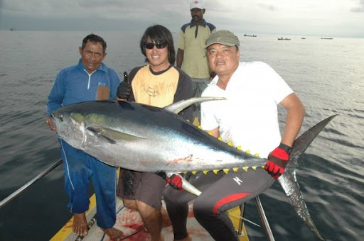 mancing ikan  Teknik Mancing Tuna
