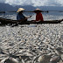 Hasil Tangkapan Ikan di Danau Maninjau Berkurang Akibat Pencemaran Lingkungan