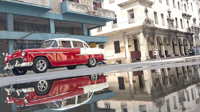 Viaje Habana Abuelohara