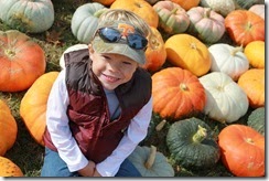 fall 087