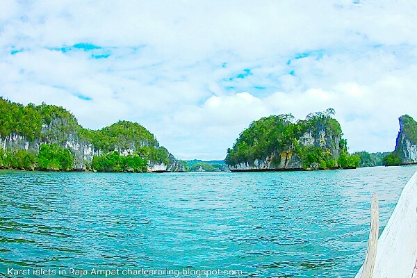 small rock islands in Raja Ampat archipelago
