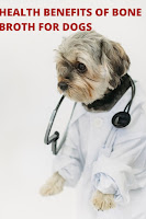 Health Benefits of Bone Broth for Dogs, Dog health,