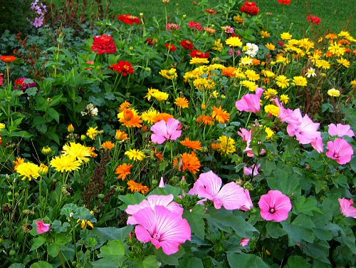 Garden flower design ideas | Best Modern Furniture Design ...