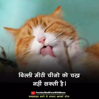 "amazing facts in hindi"