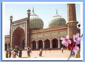 Jama masjid Delhi - Oldest mosque in Asia