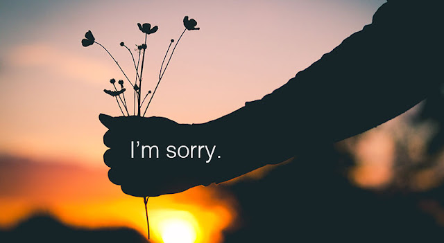 15 Best I Am Sorry Images Collection for Best Friend