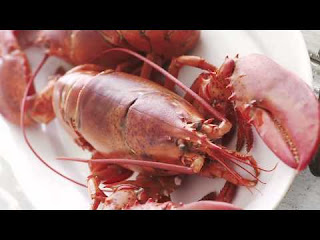 5 stuff you should apprehend Before you purchase Live Pine Tree State Lobsters