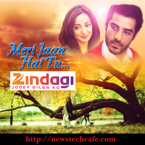 Meri Jaan Hai Tu Pakistani Show on Upcoming Zindagi Tv Story | Cast | Timing