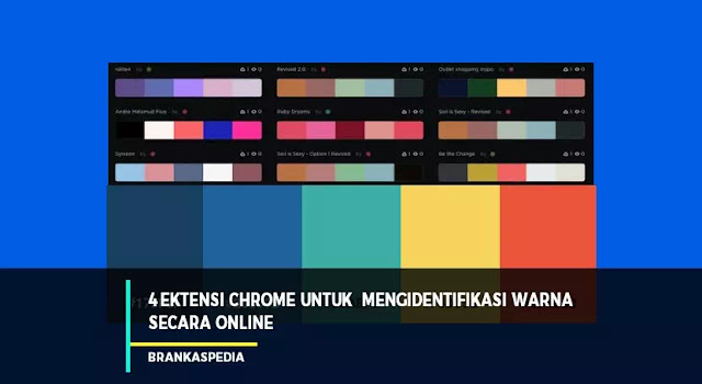 Ekstensi Chrome Terbaik untuk Mengidentifikasi Warna