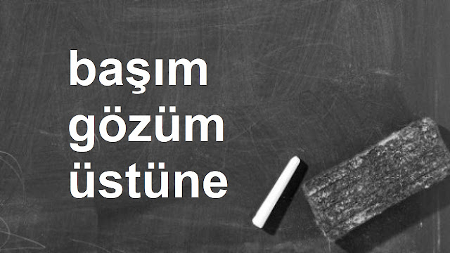 başım gözüm üstüne