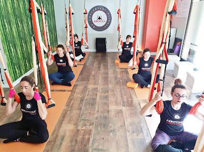 Formation Yoga Aérien