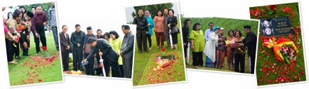 View album