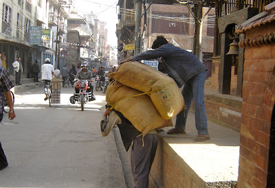 Dried Beans, Lentils, Peas –  (Daal Haru) common in Nepal