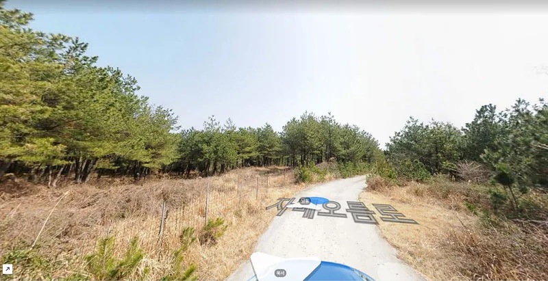 토지 옆 지적 도로