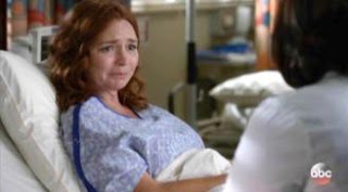 Screen shot of ABC’s Grey’s Anatomy, episode titled “Roar"