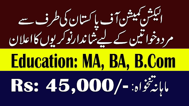 ECP Jobs 2019 For Election officer (Bps-17) | Election Commission of Pakistan PO Box 1418