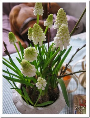 hemma 020