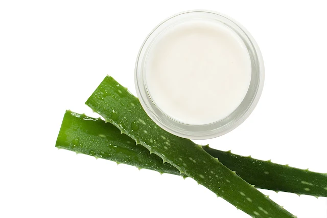 Guía del usuario de aloe vera