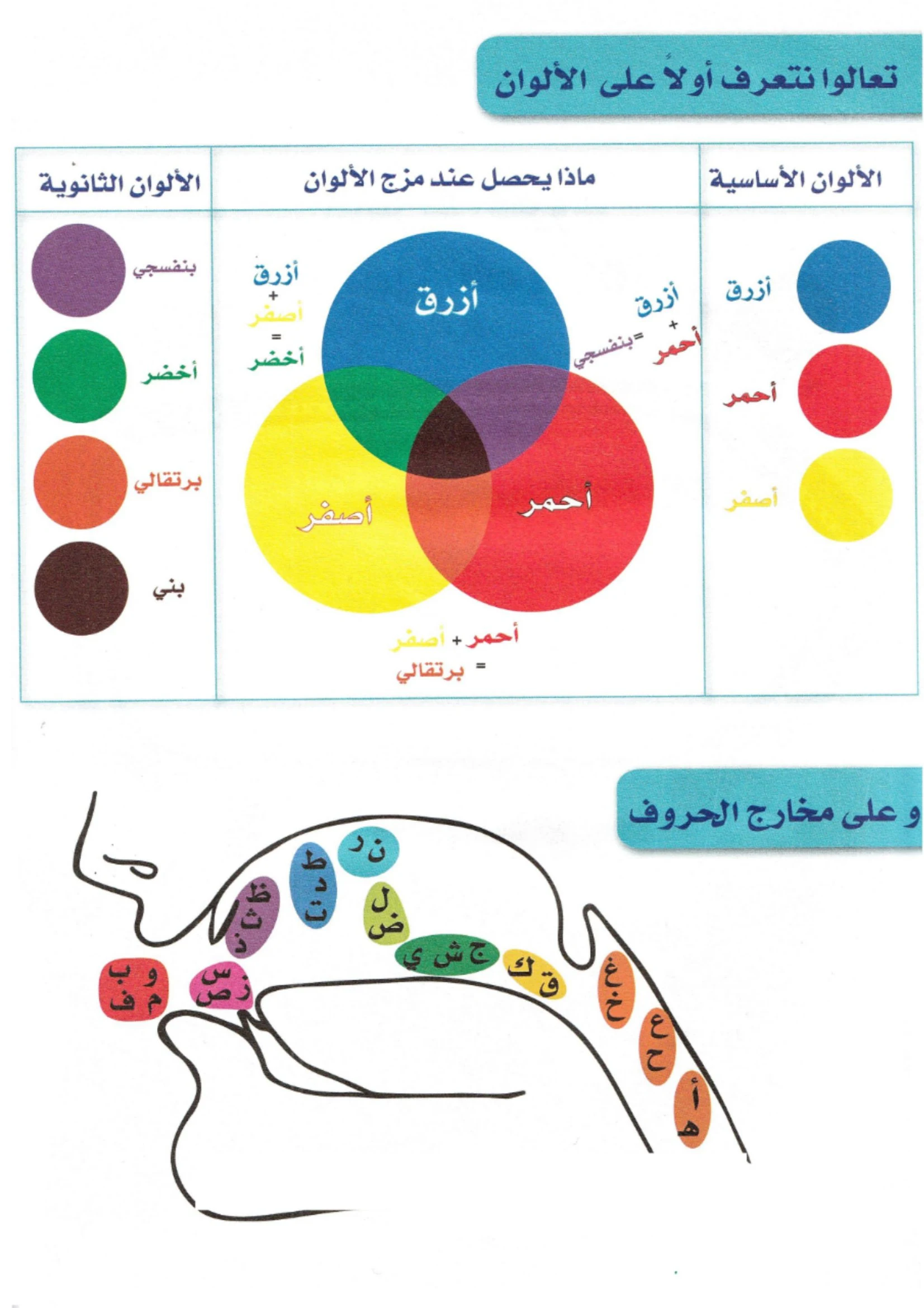 أوراق عمل الحروف الأبجدية حيوانات pdf تحميل مباشر مجاني