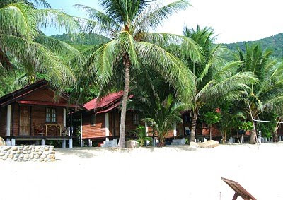  proficient value Jungle Club inward the hills behind Chaweng Noi bestthailandbeaches: WHICH ISLAND (or Beach)