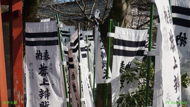 纳奉 纳奉