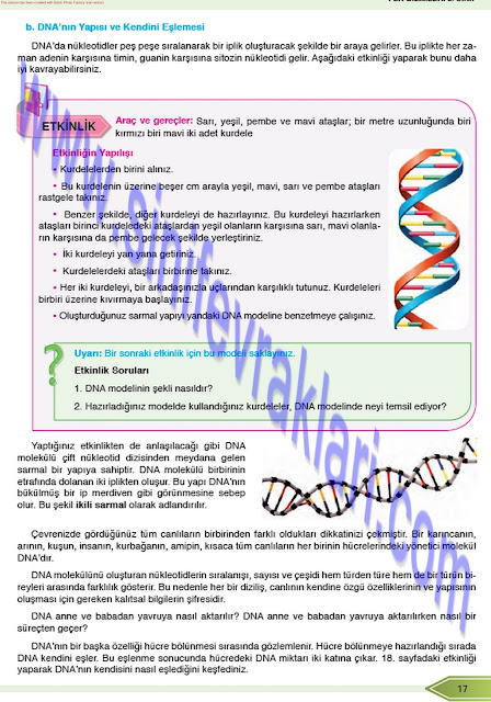 8. Sınıf Fen Bilimleri Öğün Yayınları Ders Kitabı Cevapları Sayfa 17