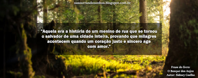 https://sussurrandosonhos.blogspot.com/2018/01/resenha-o-bosque-dos-anjos-sidney-coelho.html