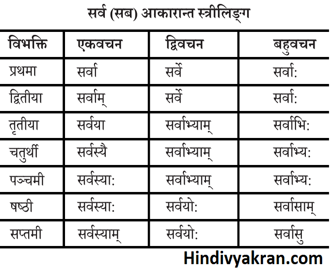 सर्व शब्द रूप स्त्रीलिंग संस्कृत में – Sarv Shabd Roop Striling In Sanskrit