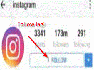 aplikasi penambah followers instagram gratis tanpa menambah following