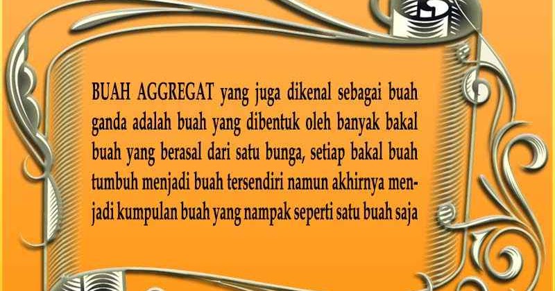 Definisi Dan Pengertian Buah Agregat - Anak Cemerlang