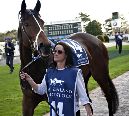 race 8 _atlantic jewel_mounting yard 4