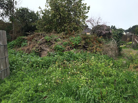 Trash pile in Mendocino