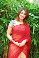 hot, sexy, Richa, Gangopadhyay, Red, saree