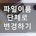 파일명,폴더명,확장자명 단체로 한번에 바꾸는 방법