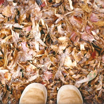 standing in the leaves