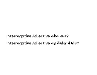Interrogative Adjective কাকে বলে