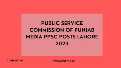 Public Service Commission of Punjab Media PPSC Posts Lahore 2023