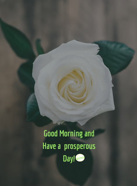  This image is all about  good morning HD wallpaper new