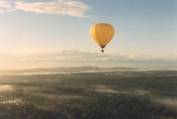 In the air, misty hills and trees.