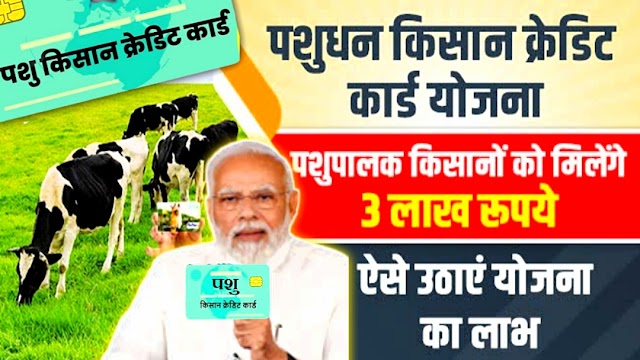 Pashu Kisan Credit Card देखें क्या है फायदे, ऐसे करें आवेदन | पशुधन किसान क्रेडिट कार्ड का फॉर्म