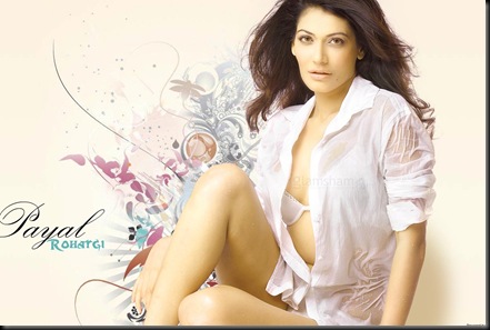 payal-49-12x9