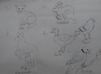 Harmony Arts Academy Drawing Classes Friday 11-August-2017 11 yrs Chaitrali Suhas Bhagwat Animals and Birds Figurative Drawing Drawing Grade Pencils