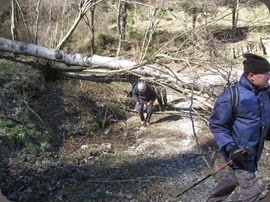 IMG_0039